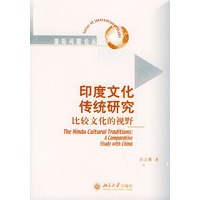 印度文化传统研究比较文化的视野——国际问题论丛