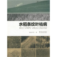 水稻条纹叶枯病