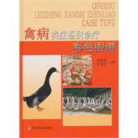 禽病类症鉴别诊疗彩色图谱