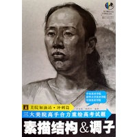 素描结构与调子（光盘）
