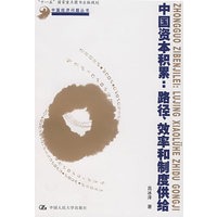 中国资本积累：路径、效率和制度供给