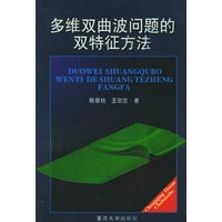 多维双曲波问题的双特征方法