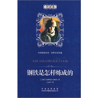 钢铁是怎样炼成的：中译经典文库 世界文学名著（全译本）（精装版）