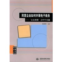 民营企业家如何开展电子商务：“从头到尾”之69个问题——民营企业工具丛书（特价/封底打有圆孔）