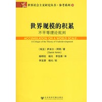 世界规模的积累