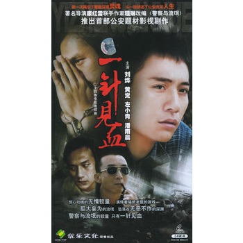 一针见血:二十四集电视连续剧(24vcd)(刘烨,黄觉主演)