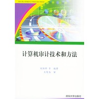 计算机审计技术和方法/审计署计算机审计中级培训系列教材