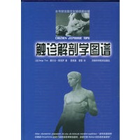 触诊解剖学图谱