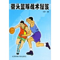 街头篮球战术秘笈