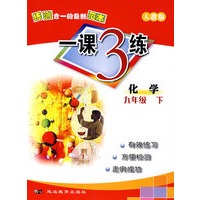 一课3练：九年级化学下（人教版）
