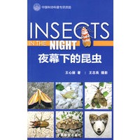 (奇妙的昆虫世界)夜幕下的昆虫