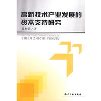 高新技术产业发展的资本支持研究