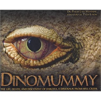 恐龙Dinomummy