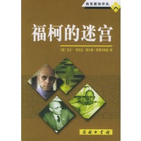 福柯的迷宫——商务新知译丛