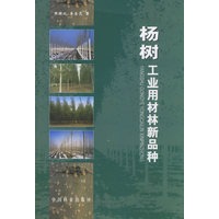 杨树工业用材林新品种