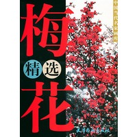 梅花精选——当代名家画库