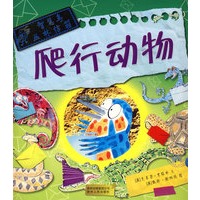 爬行动物——智慧鸟丛林信箱