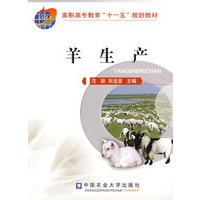羊生产