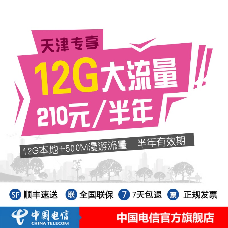 【【中国电信】津城流量宝 12GB半年上网卡 