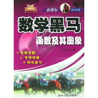 新课标初中版数学黑马--函数及其图象