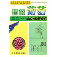 图解葡萄架式与整形修剪