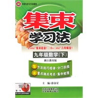 九年级数学（下）浙江教育版（2010年8月印刷）集束学习法