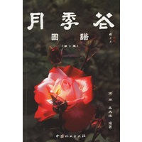 月季花图谱(第1集)