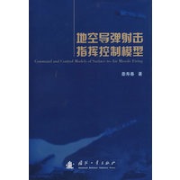 地空导弹射击指挥控制模型