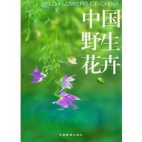 中国野生花卉（精装）