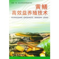黄鳝高效益养殖技术