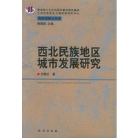 西北民族地区城市发展研究