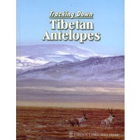 追寻藏羚羊 Tracking Down Tibetan Antelopes