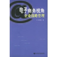 电子商务视角企业战略管理