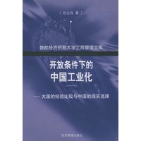 开放条件下的中国工业化——大国的经验比较与中国的现实选择