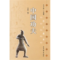 中国非物质文化遗产文藏典丛书《中国功夫》