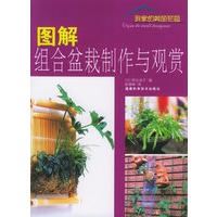 图解组合盆栽制作与观赏