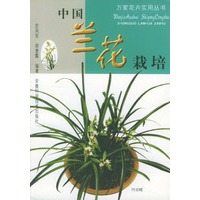 中国兰花栽培