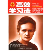 高效学习法_九年级化学下(科学版广东教育版)