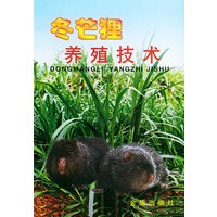 冬芒狸养殖技术