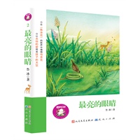 最亮的眼睛（买任何一本，即可获赠冰心奖、五个一工程奖获得者用稿费购买“爱心”鲁冰花种子；感受散发着“安徒生气息”的文字；在《鲁冰花》的歌声中撒播母亲花，让永恒的爱照亮孩子的天空）