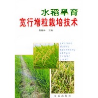 水稻旱育宽行增粒栽培技术