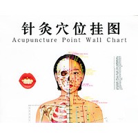 针灸穴位挂图－女性 大