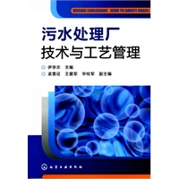 污水处理厂技术与工艺管理