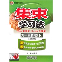 九年级物理（下）江苏科技版（2010年8月印刷）集束学习法