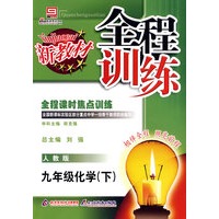 全程训练：九年级化学（下）人教版