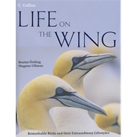 Life on the Wing 翱翔的生命