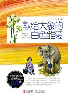 <em>拯救懒女泡泡</em> -当当读书社区