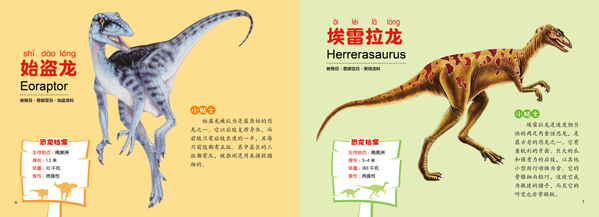 动物名片海豚手抄报