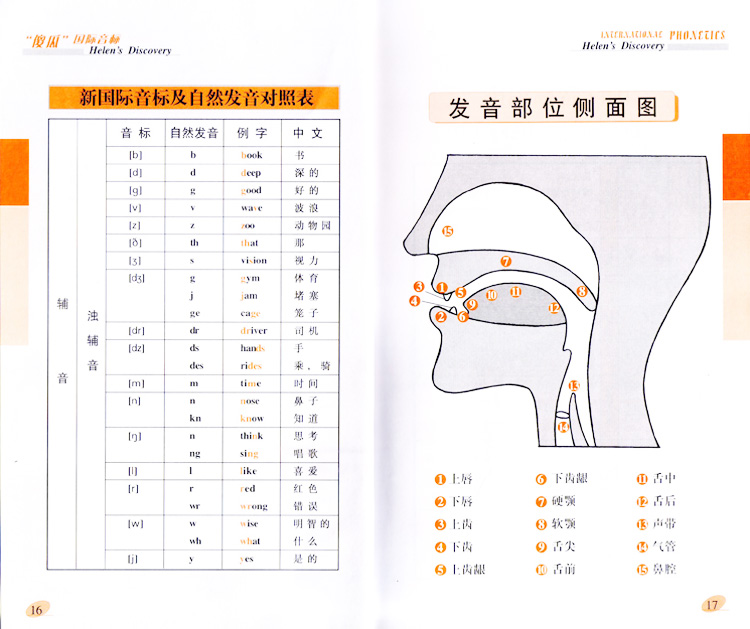 傻瓜国际音标(附赠VCD光盘2张+MP3光盘1张