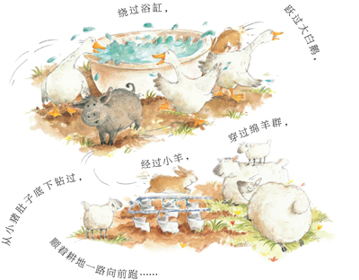 插图